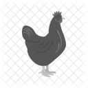 Pollo Animales La Vida Silvestre Icon