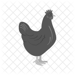 Pollo  Icono