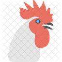 Pollo  Icon