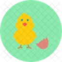 Pollo  Icono