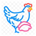 Pollo  Icono