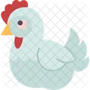 Pollo  Icono