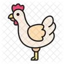 Pollo  Icono