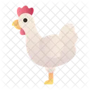 Pollo  Icono