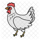 Pollo  Icono