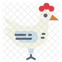 Pollo  Icono