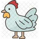 Pollo  Icono