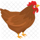 Pollo  Icono