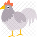 Pollo  Icono