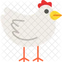 Pollo  Icono