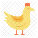 Pollo  Icono