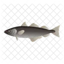 Pollock Fish  Icon