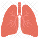 Organo Respiratorio Polmoni Asma Icon