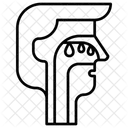 Nasenpolypen Nase Symbol