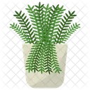 Polypodium Potted Plant  Icon