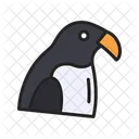 Pombo  Icon