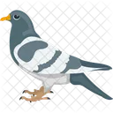 Pombo de desenho animado  Ícone