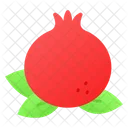 Pomegranate Fruit Healthy Icon