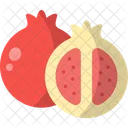 Pomegranate Vegetarian Fruit Icon