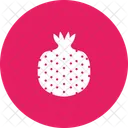 Pomegranate Pome Fruit Icon