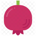 Pomegranate Fruit Juice Icon