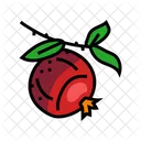 Pomegranate Branch Leaf Icône