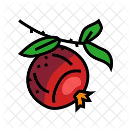 Pomegranate  Icon