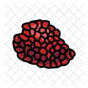 Pomegranate Delicious Cut Icon
