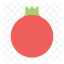 Pomegranate Fruit Wild Icon