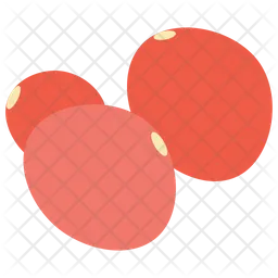 Pomegranate Seeds  Icon