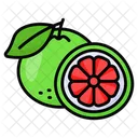 Pomelo Citricos Frutas Icono