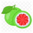 Pomelo Citricos Frutas Icon