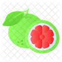 Pomelo Citricos Frutas Icon