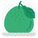 Pomelo Fruit Healthy Icon