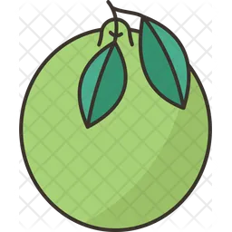 Pomelo  Icon