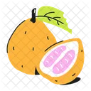 Citrus Maxima Pomelo Citrus Fruit Icon