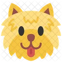 Pomeranian Dog Pet Icon