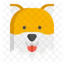 Pomeranian Pet Dog Dog Icon