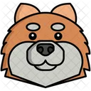 Pomeranian Pet Dog Dog Icon