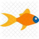 Pomfret Fish  Icon