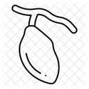  Icône