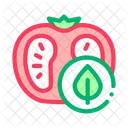 Pomodoro  Icon