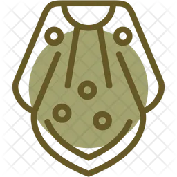 Poncho  Icon