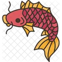 Pond Fish  Icon