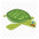 Turtle Icons Flatback Turtle Tortoise Icon