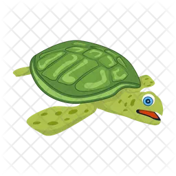 Pond Turtle  Icon
