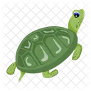 Turtle Icons Flatback Turtle Tortoise Icon