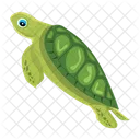 Turtle Icons Flatback Turtle Tortoise Icon