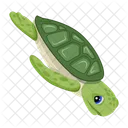 Turtle Icons Flatback Turtle Tortoise Icon