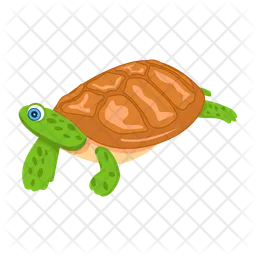 Pond Turtle  Icon